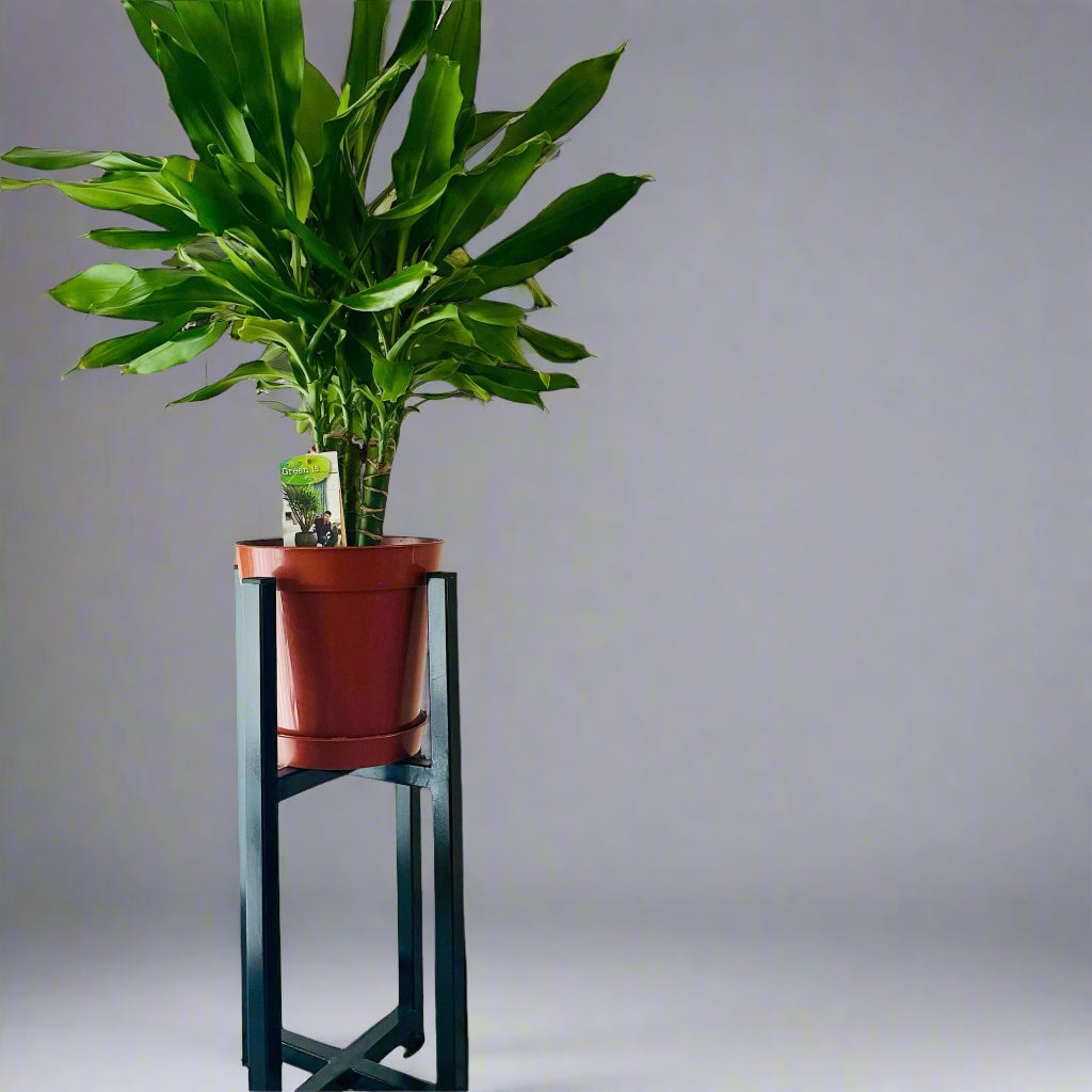 Large Plant pot stand metal hand made